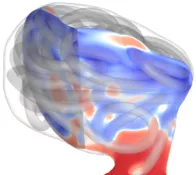 Porous Medium flowfield cross section in cerebral aneurysm