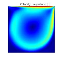 Lid-driven cavity simulation in 2D