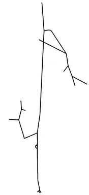 extracted vascular graph model for the arteriole