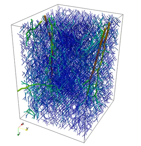 depiction of a complex blood vessel system