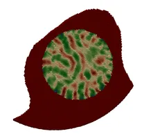 Porosity field from coil homogenization.