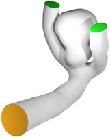 Vascular geometry with in- (orange) and outflow (green) boundaries.